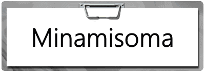 Minamisoma
