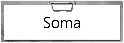 Soma